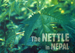 Book cover of The Nettle in Nepal by Susi Dunsmore